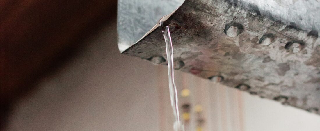 Gutter Guards: Are They Really Worth the Investment in 2026?